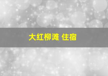 大红柳滩 住宿